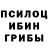 Галлюциногенные грибы ЛСД Flera Kolomiytseva