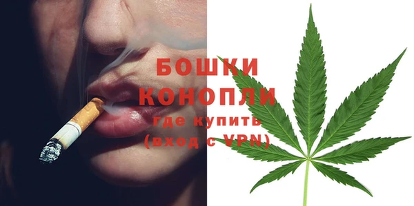 дурь Богданович
