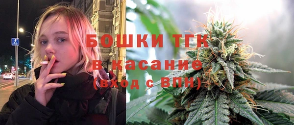 дурь Богданович