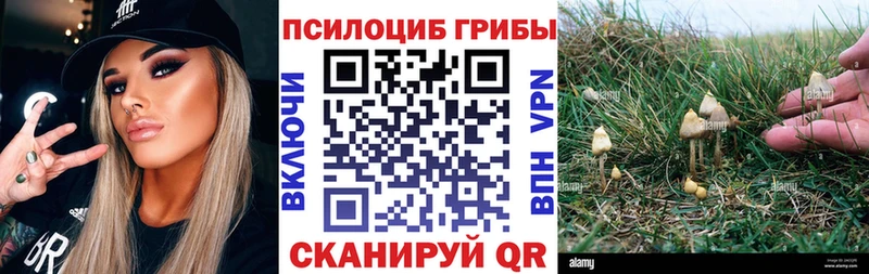 Псилоцибиновые грибы MAGIC MUSHROOMS  Дивногорск 